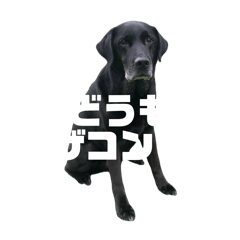 natsuko_20260206172719