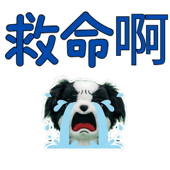 Taiwanese Japanese Chin  33