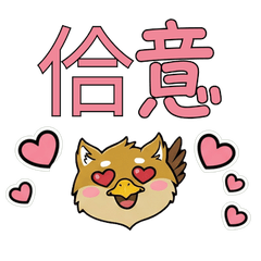 Taiwanese Brussels Griffon 37