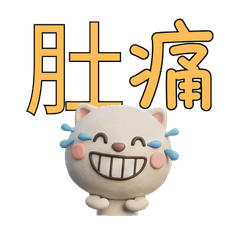 Taiwanese Persian Cat  39