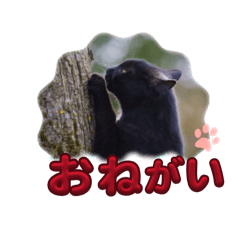 asuka_20260208153416