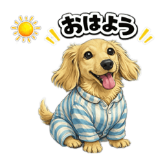 Uchinokokawachii_20260208153345
