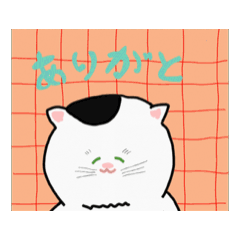 kumayouhinten_20260208174954