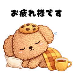 Everyday Cookie-Loving Toy Poodle Vol.2