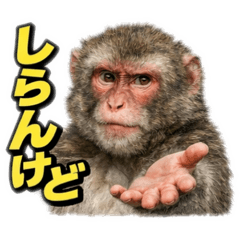 asuka_20260208160633