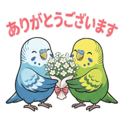 Budgie Ramune & Zunda: Polite Days