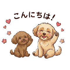 papasu_20260208160508