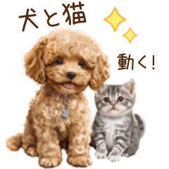 Animated Poodle & Cat Everyday Stickers