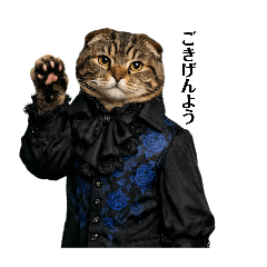 Tsubakuro_20260208171317