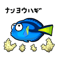 Wildcat_20260208170602