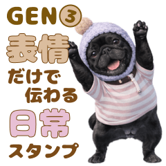 Black Pug Gen Everyday Expressions