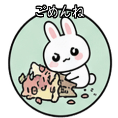 Baby Rabbit Marucho Flower Shop Sorry