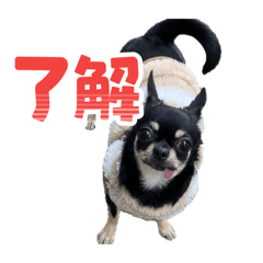 Takumi_20260208162305