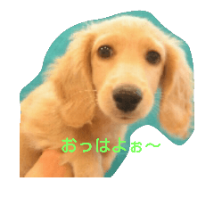 yuutonanitijou