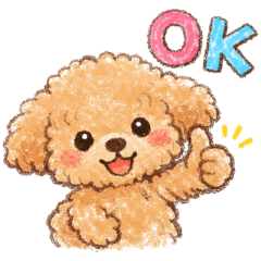 Fluffy Cute Toy Poodle