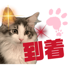 hito hito_20260208104118