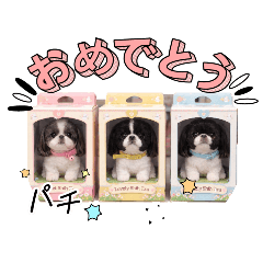 mi-chin_20260208104542