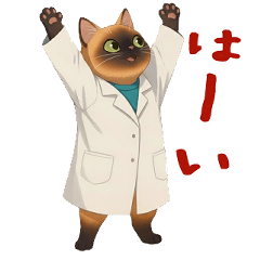 【ずっと使える】ねこはかせと一緒