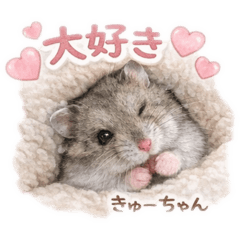 Hello!rumix_20260208212456