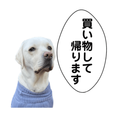 Laura_20260208115808