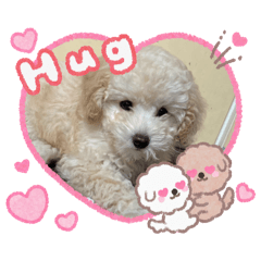 ILLIT WONHEE_20260208115200