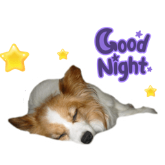 chinopan_20260208215249