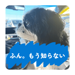 nonono_20260208222557