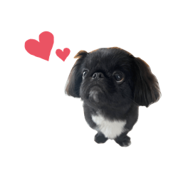 Je vis comme je suis._20260208224030