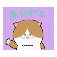 kumayouhinten_20260209113527