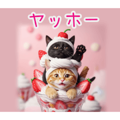 PAKAMOGOLY_20260208192922