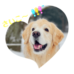 kshibata_20260208223223