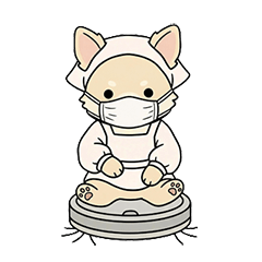 Palumba Daily Reactions