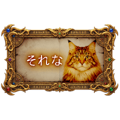 Cat with a rough response