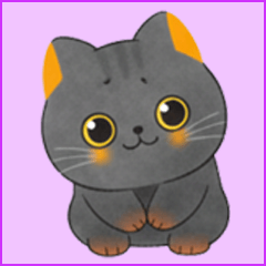 Cute fluffy kitten's daily conversation