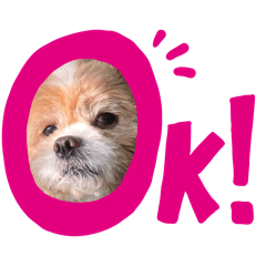 yakiudonJP_20260209022604