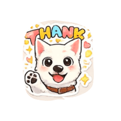 lucky_20260209024523