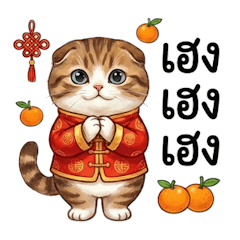 สกอตทิช โฟลด์, อวยพรให้ปังๆจ้า