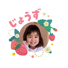 serrip_20260209093810