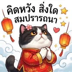 เหมียวขาวดำ บริติชชอร์ตแฮร์, อวยพรให้รวย