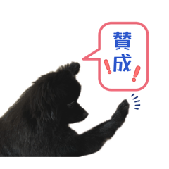 Lucky_20260208182251