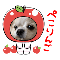yuzu_20260208123020