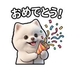 LEE1009_20260209105915