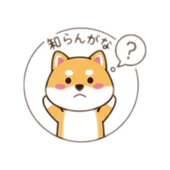 hisan_20260209112646