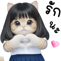 แมวโน๊ะ 100%