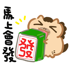 海豹貓-馬年馬上發