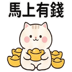 Cat celebrates the Year of the Horse