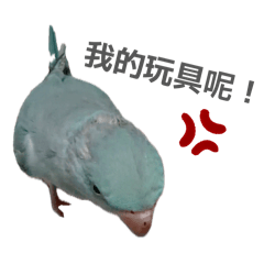 親親藍色小雞