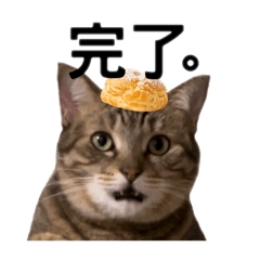 【泡泡芙貓】泡芙孵化出來的貓｜布里泡花