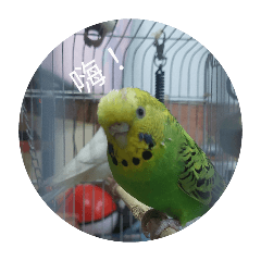ethen_20260208003753