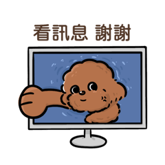 貴賓狗脆脆-謝謝&對不起 有點禮貌貼圖